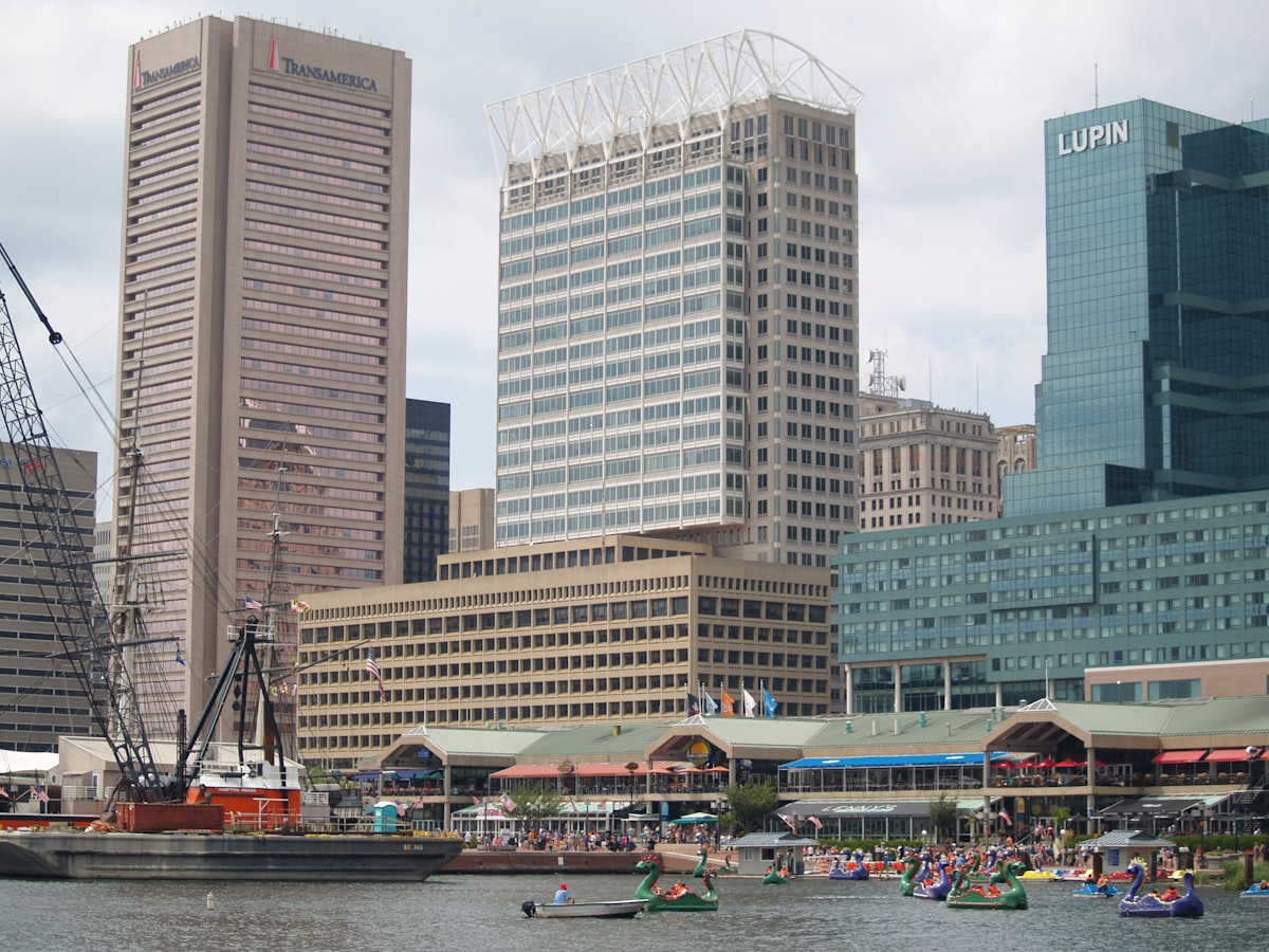 Online marriage ceremony for Maryland couples