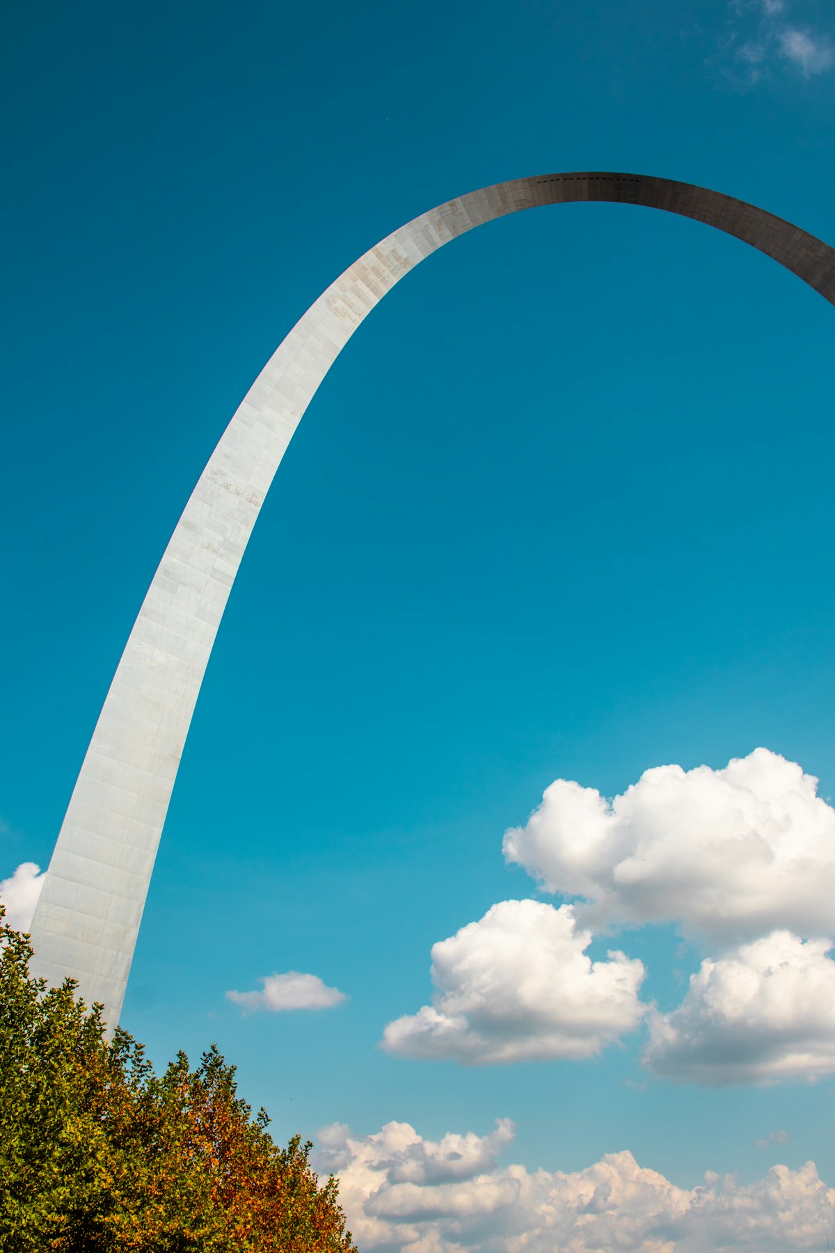 Online marriage ceremony for Missouri couples