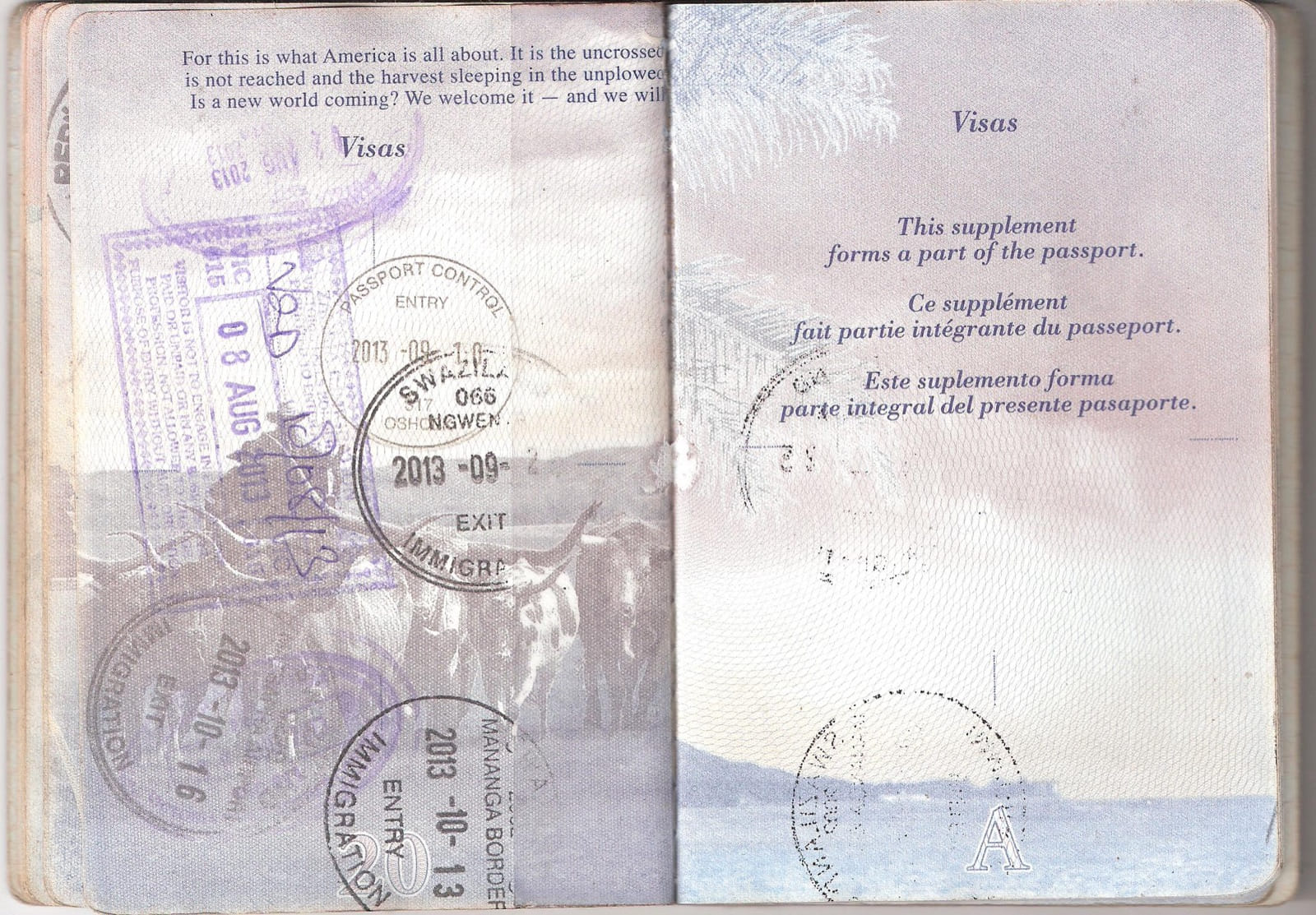 Online Marriage and Immigration: The One Rule That Matters (2026)