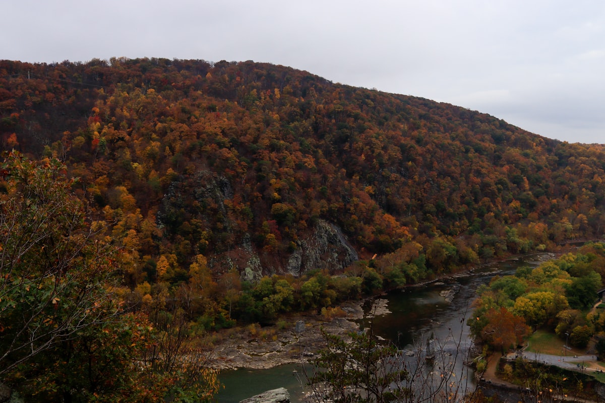 Online marriage ceremony for West Virginia couples